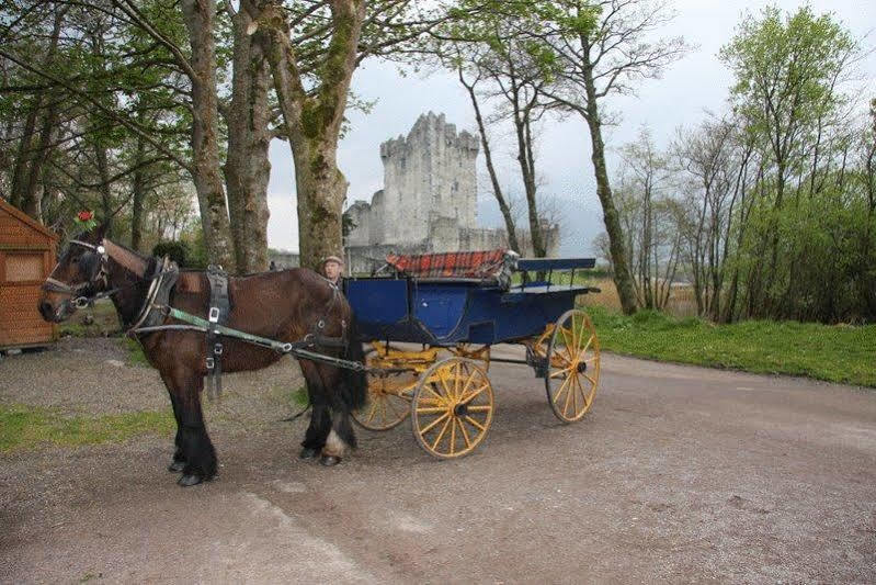 Lake Lodge Guesthouse Killarney Ngoại thất bức ảnh