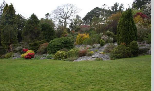 Lake Lodge Guesthouse Killarney Ngoại thất bức ảnh