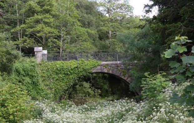 Lake Lodge Guesthouse Killarney Ngoại thất bức ảnh