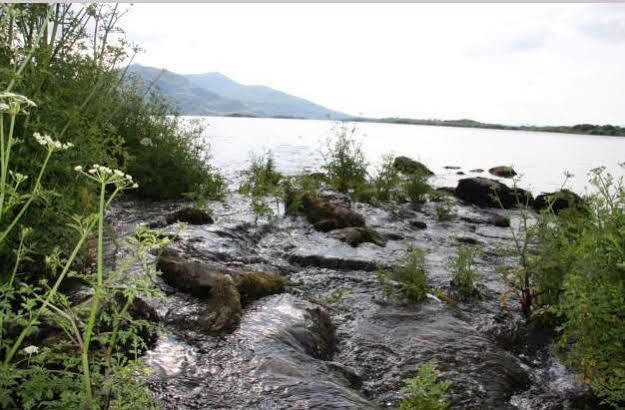 Lake Lodge Guesthouse Killarney Ngoại thất bức ảnh