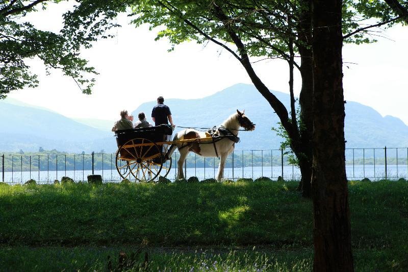 Lake Lodge Guesthouse Killarney Ngoại thất bức ảnh
