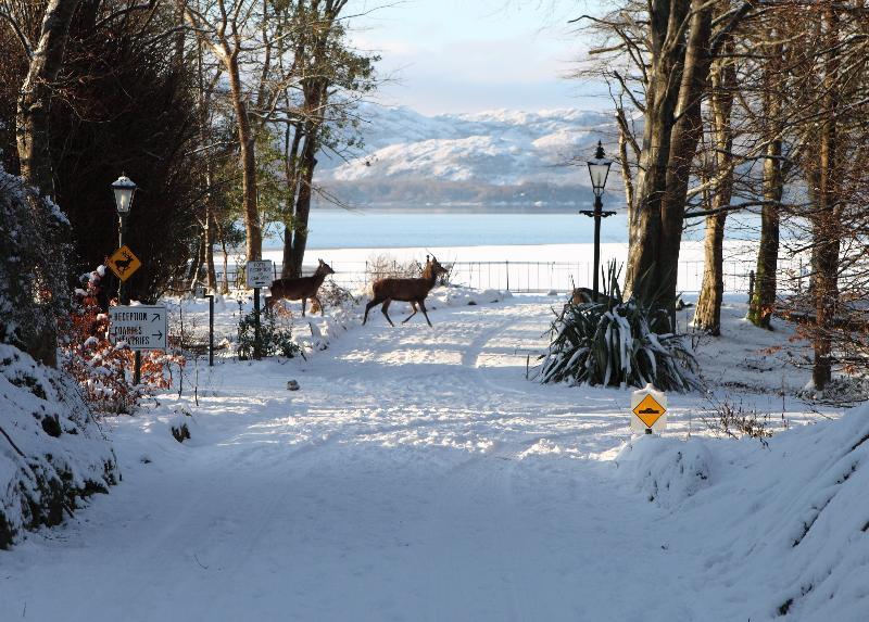 Lake Lodge Guesthouse Killarney Ngoại thất bức ảnh